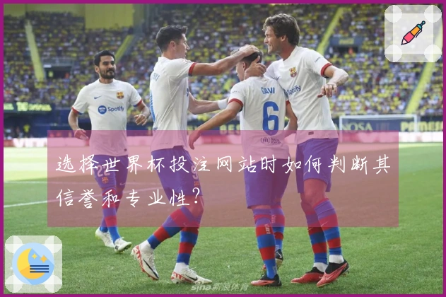选择世界杯投注网站时如何判断其信誉和专业性？