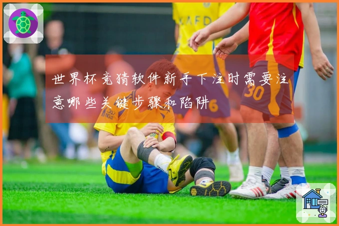 世界杯竞猜软件新手下注时需要注意哪些关键步骤和陷阱