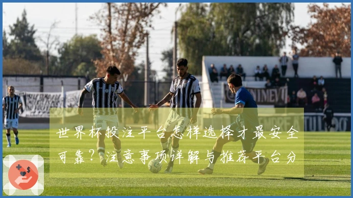 世界杯投注平台怎样选择才最安全可靠？注意事项详解与推荐平台分析