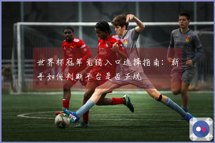 世界杯冠军竞猜入口选择指南：新手如何判断平台是否正规