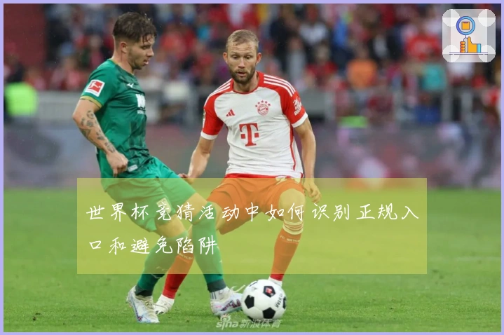 世界杯竞猜活动中如何识别正规入口和避免陷阱