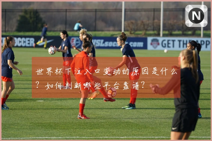 世界杯下注入口变动的原因是什么？如何判断哪些平台靠谱？