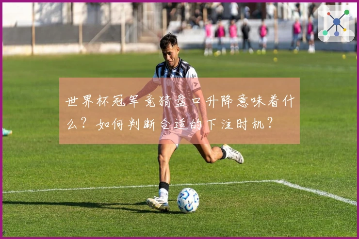 世界杯冠军竞猜盘口升降意味着什么？如何判断合适的下注时机？