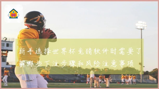 新手选择世界杯竞猜软件时需要了解哪些下注步骤和风险注意事项