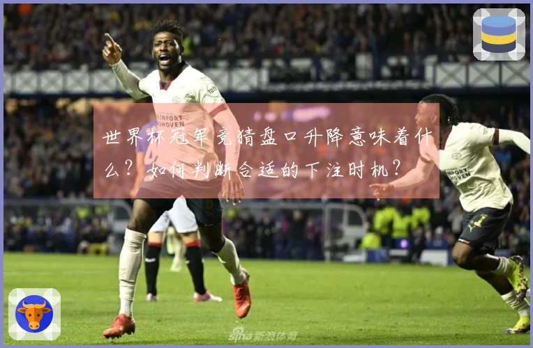 世界杯冠军竞猜盘口升降意味着什么？如何判断合适的下注时机？