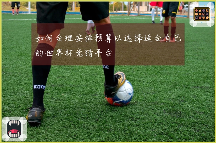 如何合理安排预算以选择适合自己的世界杯竞猜平台