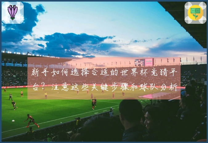 新手如何选择合适的世界杯竞猜平台？注意这些关键步骤和球队分析要点