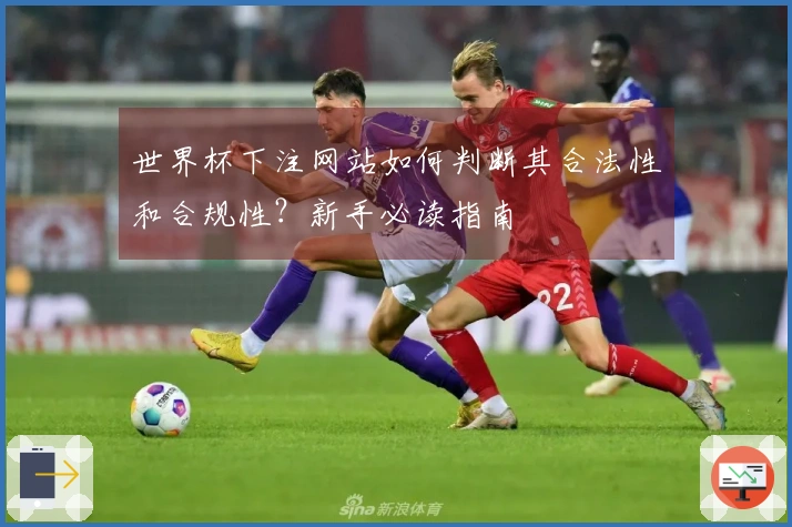 世界杯下注网站如何判断其合法性和合规性？新手必读指南