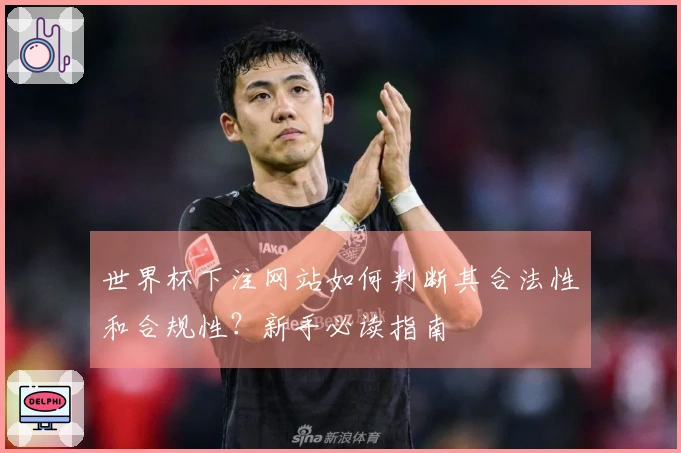 世界杯下注网站如何判断其合法性和合规性？新手必读指南