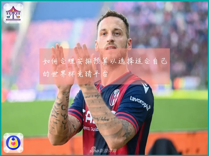 如何合理安排预算以选择适合自己的世界杯竞猜平台